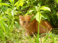 みぃ～つけた！(^○^)