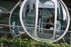 珍しいこともあるもんだ