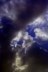 ドレミファ･･･