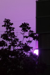 がんばらなきゃ！