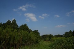 たまには･･･