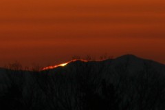 ちょっとだけ･･･