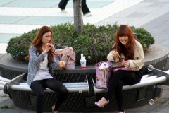 明日からまた･･･