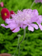 写真の整理をしていて･･･