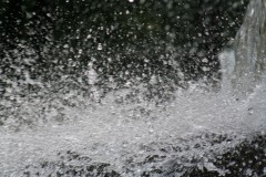 今日も暑かったねぇ