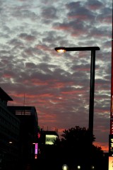 名古屋の街中でも