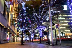 初心者のためのアロマテラピー講座　その４？