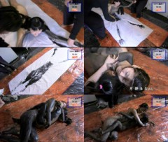 これはいったい？･･･