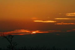 Tales of Planet Tecle　７