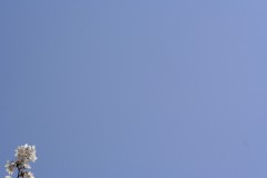 おひさです(^○^)