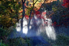 Tales of Planet Tecle　２３