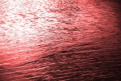 【お題日記】寂しいと感じる瞬間