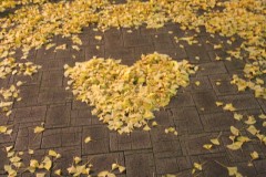 僕って一体・・・