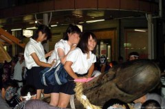 【お題日記】どこが一番敏感？