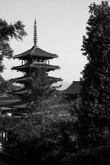 【お題日記】◯年ぶりエピソード