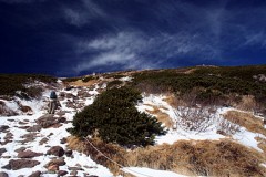【お題日記】天気予報を信じて行動していますか？