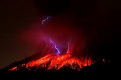 【お題日記】とりあえず飽きちゃったもの