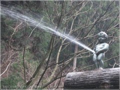 【お題日記】朝起きたら一番最初にコレをする