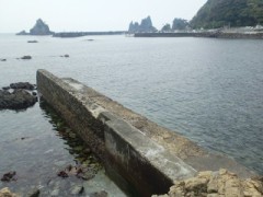 【お題日記】海にまつわる思い出話し