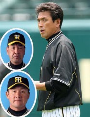 今日からです！