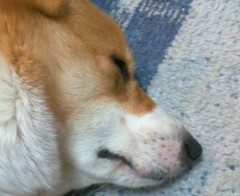 危機一髪！！！