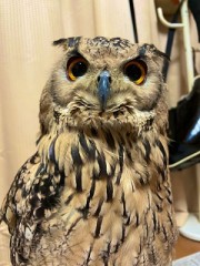 【お題日記】クーラーの設定温度