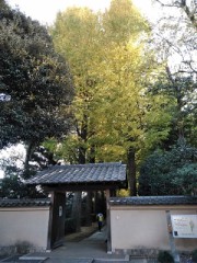 久々の徒歩出勤…