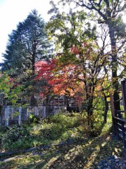 陽気に誘われ…？