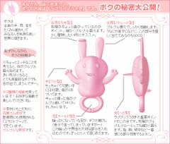 ＮＯＶＡうさぎ？