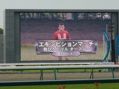 猫ひろしVSターフィー