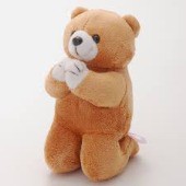 どういう年にするべきか・・・