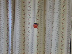 ことしのオニ役・・・