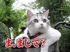 ドタキャン・・・