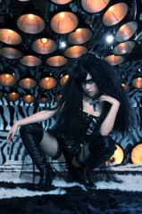 ゼブラクイーン