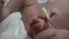 今夜のオカズにどうぞ