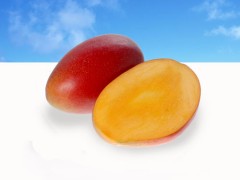 【お題日記】エッチなことを連想しちゃうもの