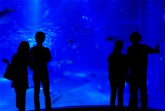 【お題日記】年の差なんて、気にします？