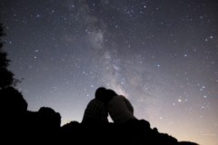 【お題日記】「ふたご座流星群」見れた？