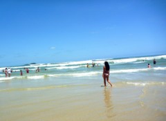 【お題日記】一人で寂しくないですか？