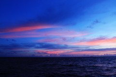 【お題日記】新生活に欲しいものは何ですか？