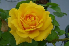 興味を持って下さった女性、業者・ポイント稼ぎのみなさん