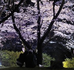 【お題日記】春になると思い出すHな思い出