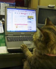 【お題日記】いま一番ストレスになってることって何？