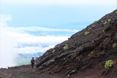 【お題日記】富士山に登ったことはありますか？
