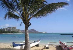 【お題日記】夢見てもいいですか？