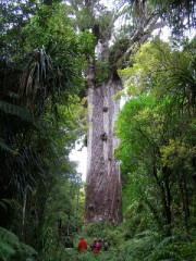 【お題日記】日帰りバスツアー利用した事ある？