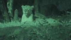 【お題日記】最近ネットで買ったものでお気に入りは？