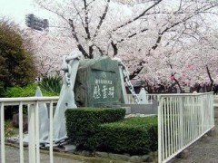 【お題日記】桜ソングは好き？