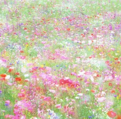 【お題日記】かっこいい四字熟語