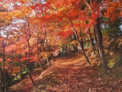 【お題日記】好きな季節は？